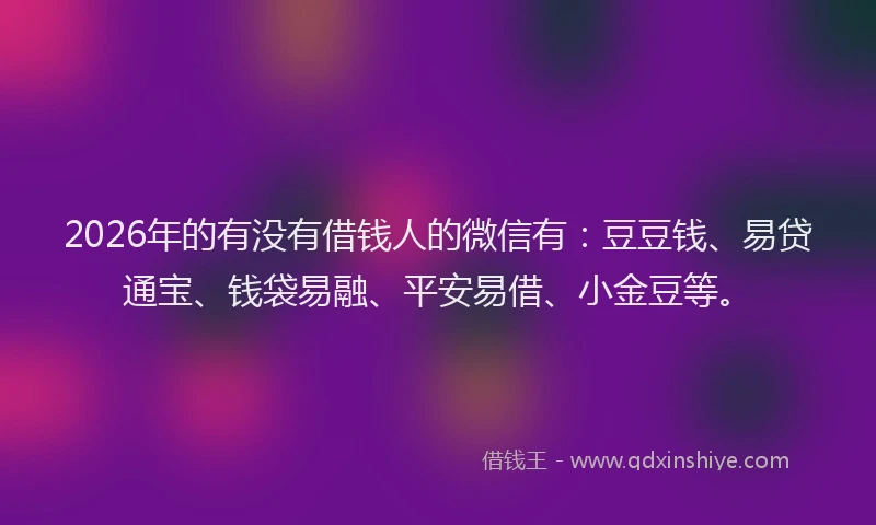 2026年的有没有借钱人的微信有：豆豆钱、易贷通宝、钱袋易融、平安易借、小金豆等。