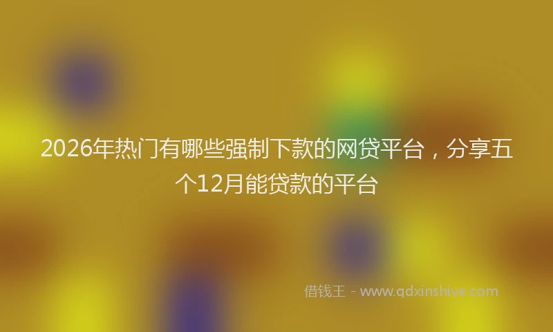 2026年热门有哪些强制下款的网贷平台，分享五个12月能贷款的平台
