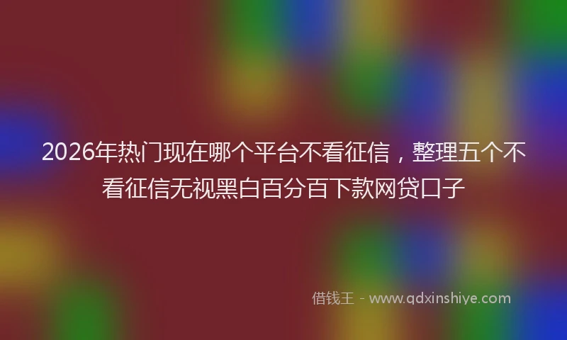 2026年热门现在哪个平台不看征信，整理五个不看征信无视黑白百分百下款网贷口子