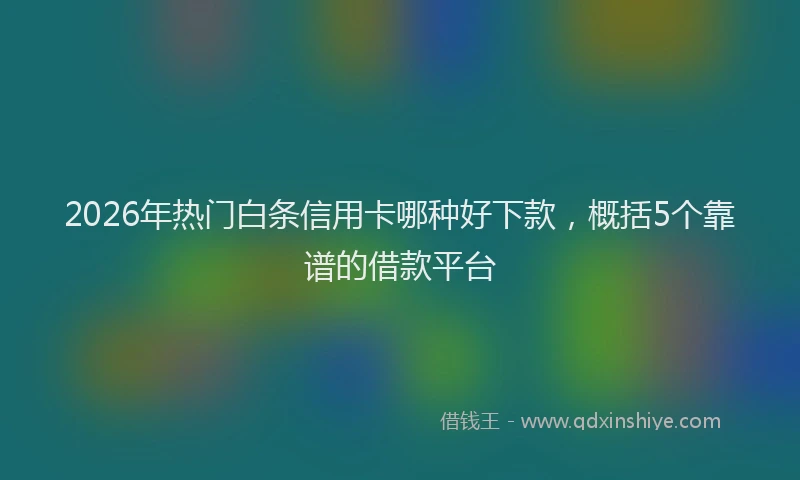 2026年热门白条信用卡哪种好下款，概括5个靠谱的借款平台