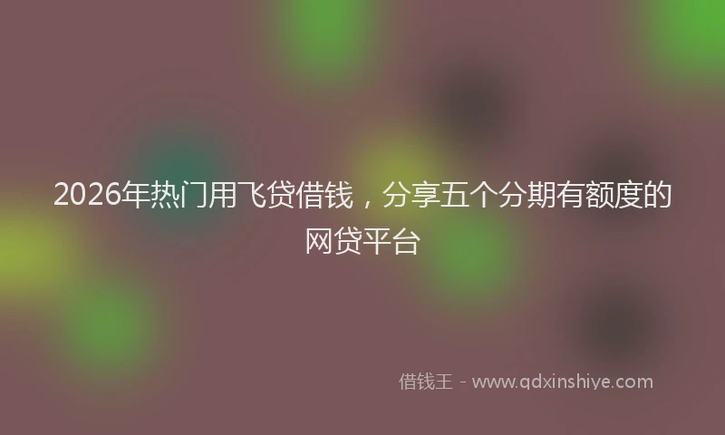 2026年热门用飞贷借钱，分享五个分期有额度的网贷平台
