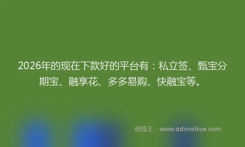 2026年的现在下款好的平台有：私立签、甄宝分期宝、融享花、多多易购、快融宝等。