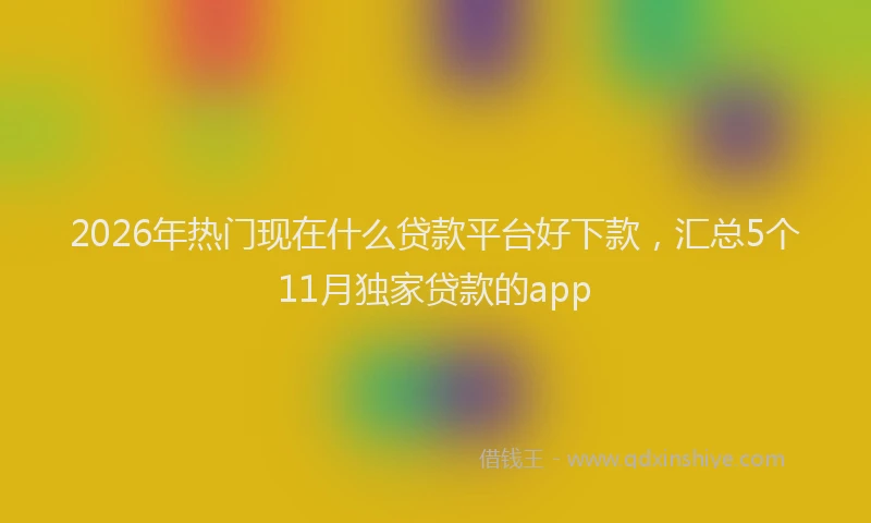 2026年热门现在什么贷款平台好下款，汇总5个11月独家贷款的app