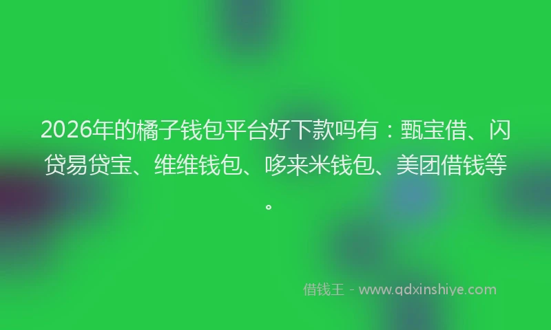 2026年的橘子钱包平台好下款吗有：甄宝借、闪贷易贷宝、维维钱包、哆来米钱包、美团借钱等。