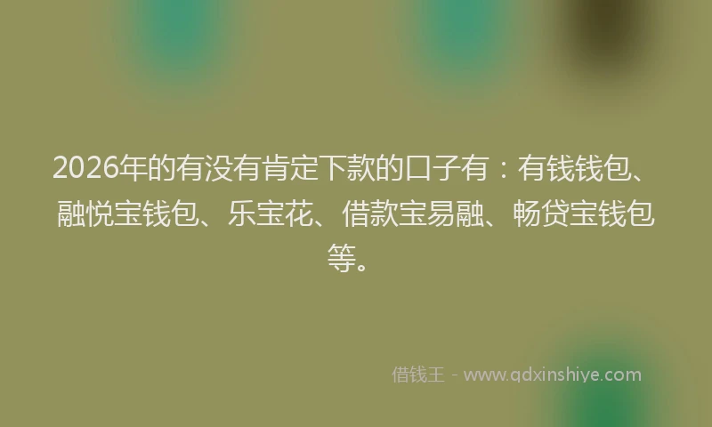 2026年的有没有肯定下款的口子有：有钱钱包、融悦宝钱包、乐宝花、借款宝易融、畅贷宝钱包等。