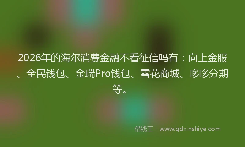2026年的海尔消费金融不看征信吗有：向上金服、全民钱包、金瑞Pro钱包、雪花商城、哆哆分期等。