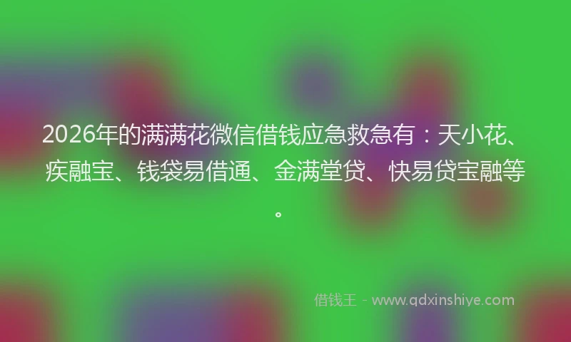 2026年的满满花微信借钱应急救急有：天小花、疾融宝、钱袋易借通、金满堂贷、快易贷宝融等。