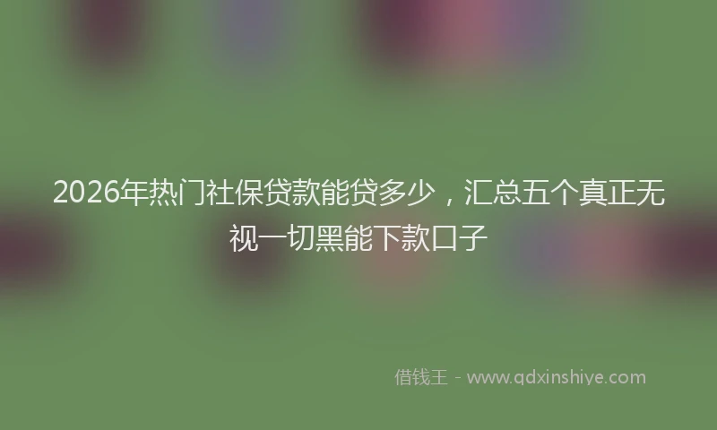 2026年热门社保贷款能贷多少，汇总五个真正无视一切黑能下款口子