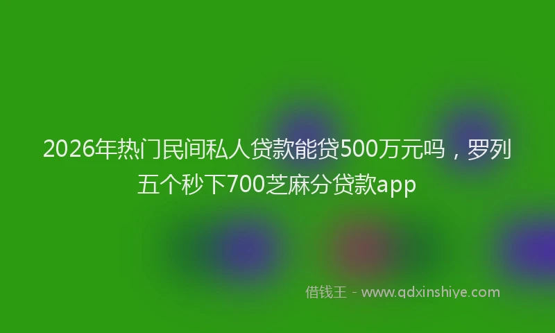 2026年热门民间私人贷款能贷500万元吗，罗列五个秒下700芝麻分贷款app