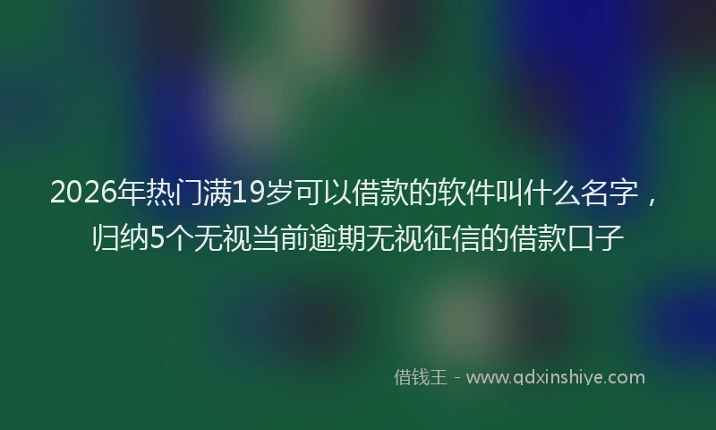 2026年热门满19岁可以借款的软件叫什么名字，归纳5个无视当前逾期无视征信的借款口子