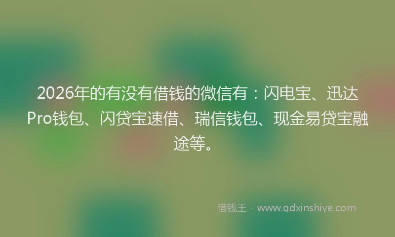 2026年的有没有借钱的微信有:闪电宝、迅达Pro钱包、闪贷宝速借、瑞信钱包、现金易贷宝融途等。