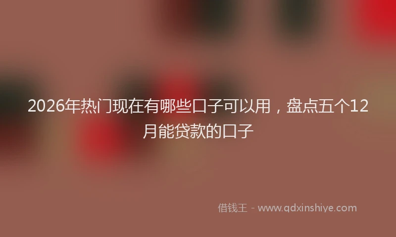 2026年热门现在有哪些口子可以用，盘点五个12月能贷款的口子