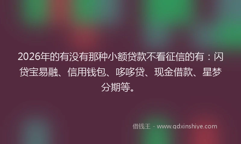 2026年的有没有那种小额贷款不看征信的有：闪贷宝易融、信用钱包、哆哆贷、现金借款、星梦分期等。