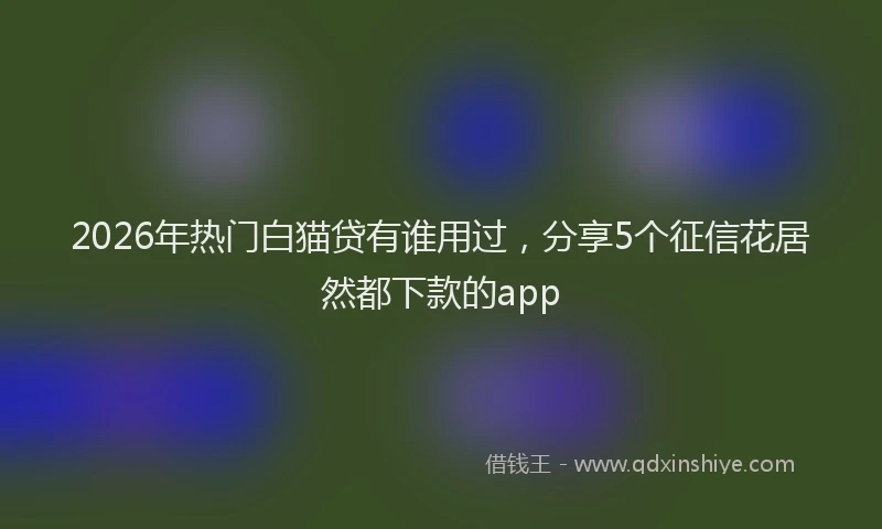 2026年热门白猫贷有谁用过,分享5个征信花居然都下款的app