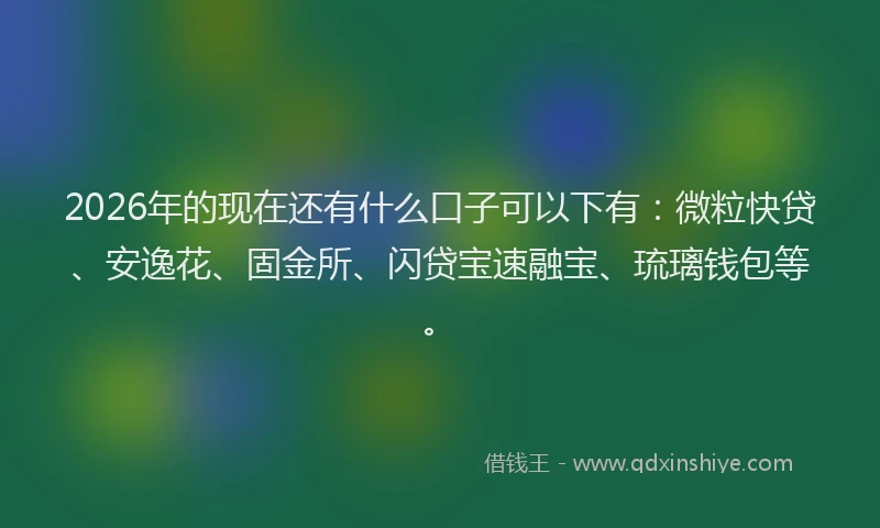 2026年的现在还有什么口子可以下有：微粒快贷、安逸花、固金所、闪贷宝速融宝、琉璃钱包等。