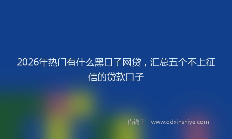 2026年热门有什么黑口子网贷，汇总五个不上征信的贷款口子