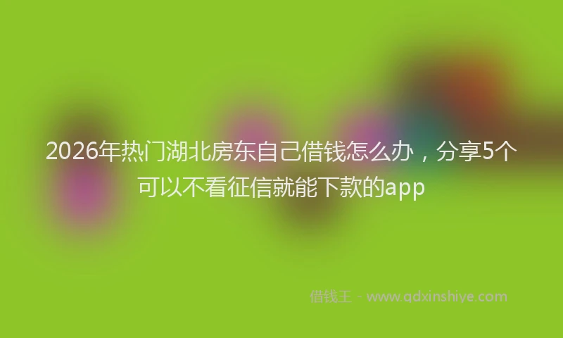 2026年热门湖北房东自己借钱怎么办，分享5个可以不看征信就能下款的app