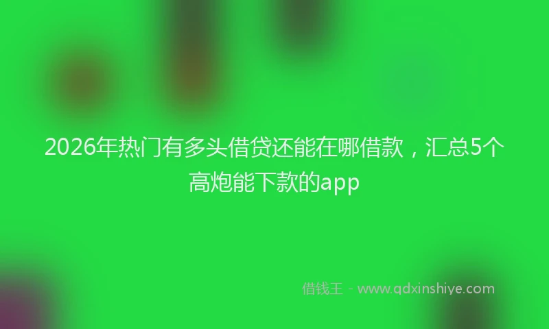 2026年热门有多头借贷还能在哪借款，汇总5个高炮能下款的app