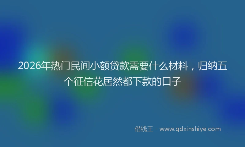2026年热门民间小额贷款需要什么材料，归纳五个征信花居然都下款的口子