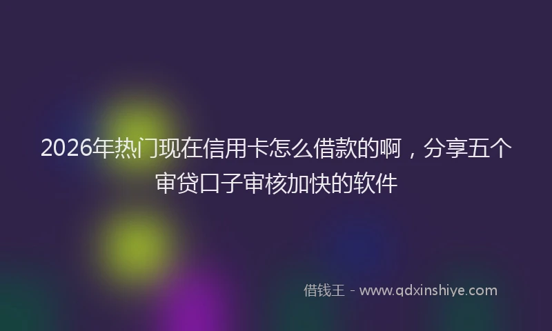 2026年热门现在信用卡怎么借款的啊，分享五个审贷口子审核加快的软件