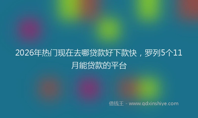 2026年热门现在去哪贷款好下款快，罗列5个11月能贷款的平台