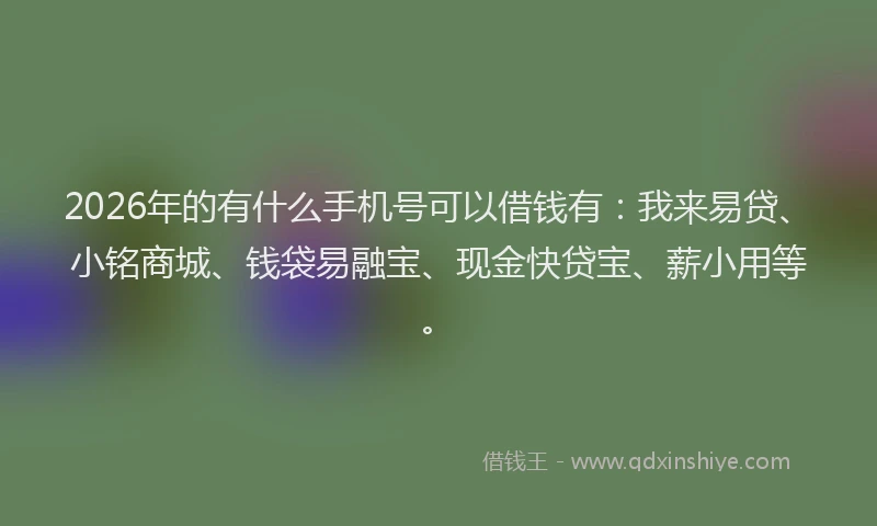 2026年的有什么手机号可以借钱有：我来易贷、小铭商城、钱袋易融宝、现金快贷宝、薪小用等。