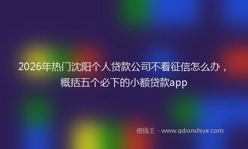2026年热门沈阳个人贷款公司不看征信怎么办，概括五个必下的小额贷款app