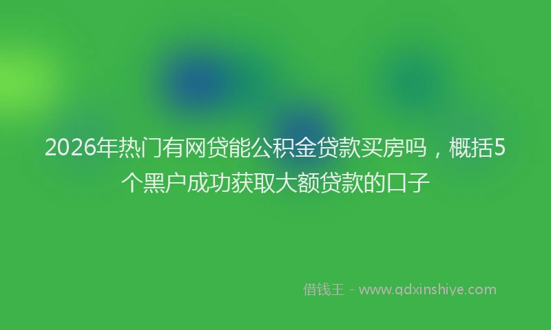 2026年热门有网贷能公积金贷款买房吗，概括5个黑户成功获取大额贷款的口子