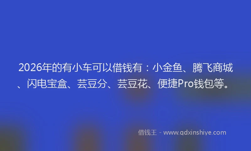 2026年的有小车可以借钱有：小金鱼、腾飞商城、闪电宝盒、芸豆分、芸豆花、便捷Pro钱包等。