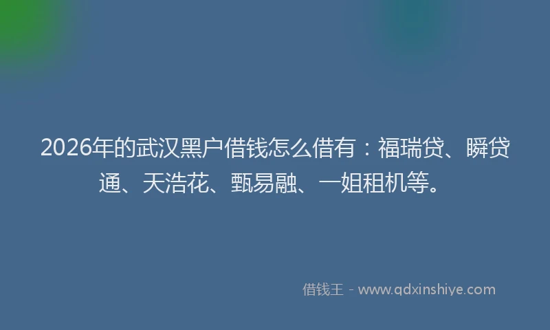 2026年的武汉黑户借钱怎么借有：福瑞贷、瞬贷通、天浩花、甄易融、一姐租机等。