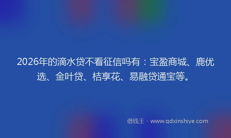 2026年的滴水贷不看征信吗有:宝盈商城、鹿优选、金叶贷、桔享花、易融贷通宝等。