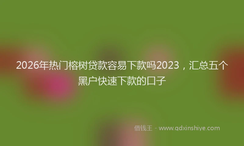 2026年热门榕树贷款容易下款吗2023，汇总五个黑户快速下款的口子