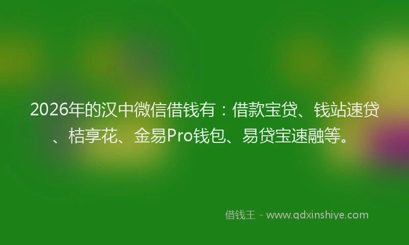 2026年的汉中微信借钱有：借款宝贷、钱站速贷、桔享花、金易Pro钱包、易贷宝速融等。