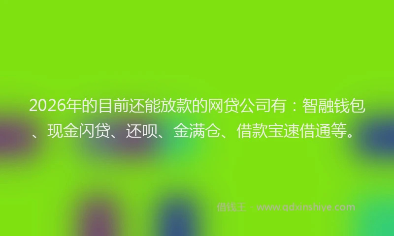 2026年的目前还能放款的网贷公司有：智融钱包、现金闪贷、还呗、金满仓、借款宝速借通等。