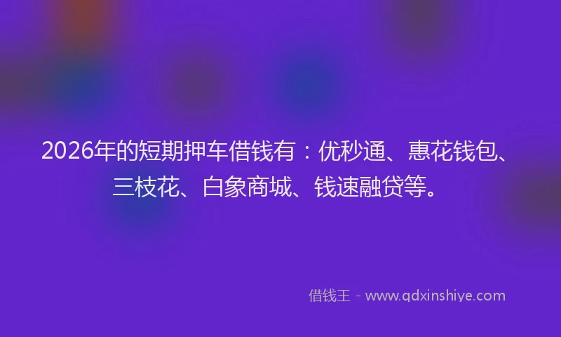 2026年的短期押车借钱有：优秒通、惠花钱包、三枝花、白象商城、钱速融贷等。