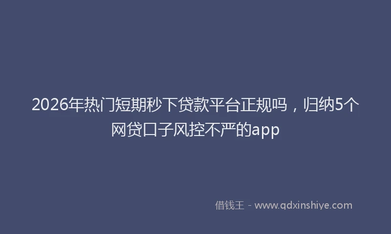 2026年热门短期秒下贷款平台正规吗，归纳5个网贷口子风控不严的app