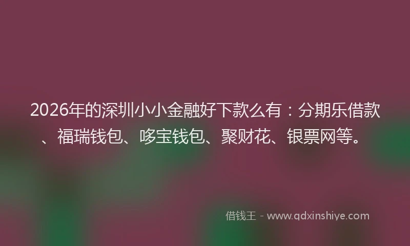 2026年的深圳小小金融好下款么有：分期乐借款、福瑞钱包、哆宝钱包、聚财花、银票网等。