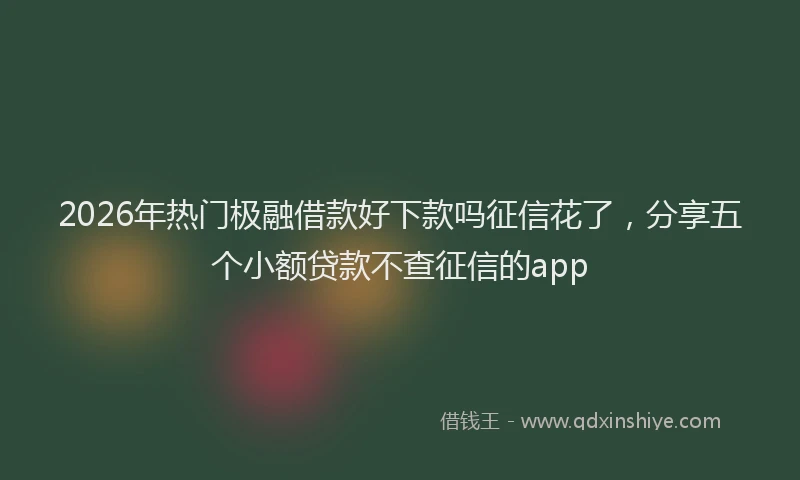 2026年热门极融借款好下款吗征信花了，分享五个小额贷款不查征信的app
