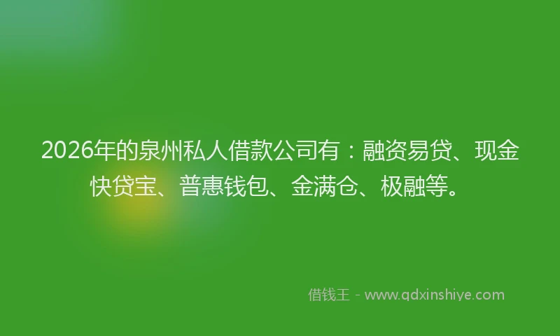 2026年的泉州私人借款公司有：融资易贷、现金快贷宝、普惠钱包、金满仓、极融等。