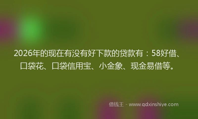 2026年的现在有没有好下款的贷款有：58好借、口袋花、口袋信用宝、小金象、现金易借等。