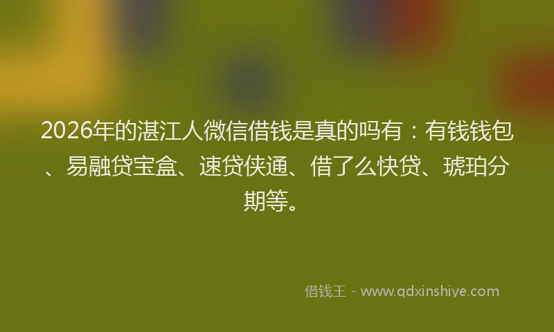 2026年的湛江人微信借钱是真的吗有：有钱钱包、易融贷宝盒、速贷侠通、借了么快贷、琥珀分期等。