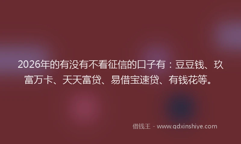 2026年的有没有不看征信的口子有：豆豆钱、玖富万卡、天天富贷、易借宝速贷、有钱花等。
