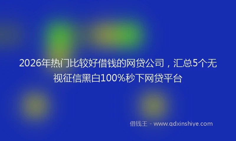 2026年热门比较好借钱的网贷公司，汇总5个无视征信黑白100%秒下网贷平台