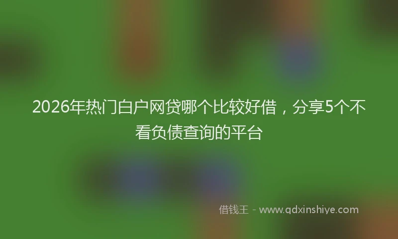 2026年热门白户网贷哪个比较好借，分享5个不看负债查询的平台