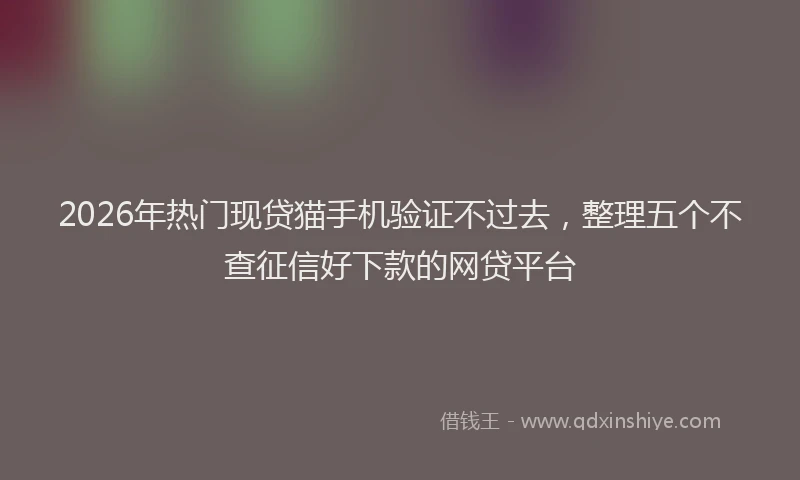 2026年热门现贷猫手机验证不过去，整理五个不查征信好下款的网贷平台