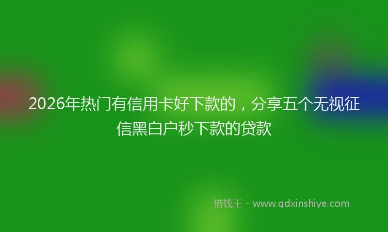 2026年热门有信用卡好下款的，分享五个无视征信黑白户秒下款的贷款
