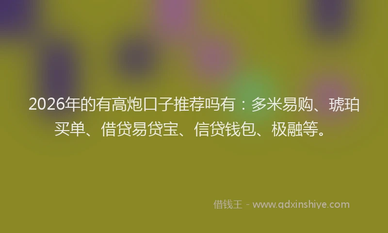 2026年的有高炮口子推荐吗有：多米易购、琥珀买单、借贷易贷宝、信贷钱包、极融等。
