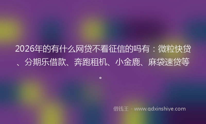 2026年的有什么网贷不看征信的吗有：微粒快贷、分期乐借款、奔跑租机、小金鹿、麻袋速贷等。