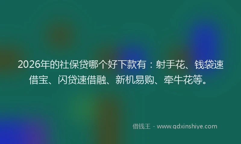 2026年的社保贷哪个好下款有:射手花、钱袋速借宝、闪贷速借融、新机易购、牵牛花等。