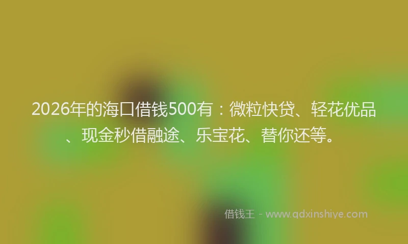 2026年的海口借钱500有：微粒快贷、轻花优品、现金秒借融途、乐宝花、替你还等。